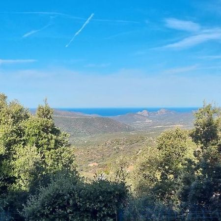 Vos Vacances A Lama France Corse מראה חיצוני תמונה