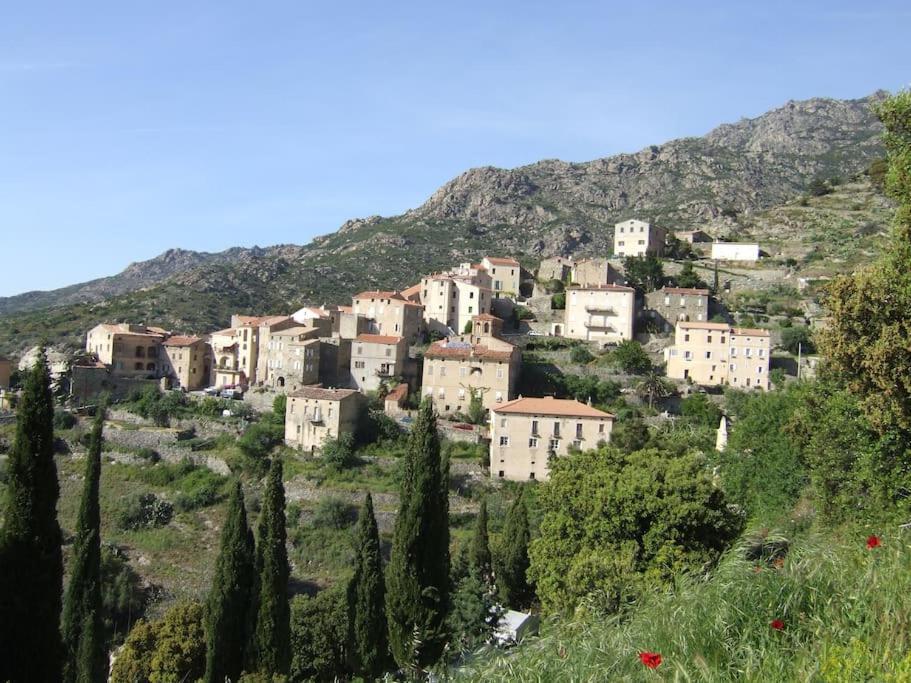 Vos Vacances A Lama France Corse מראה חיצוני תמונה
