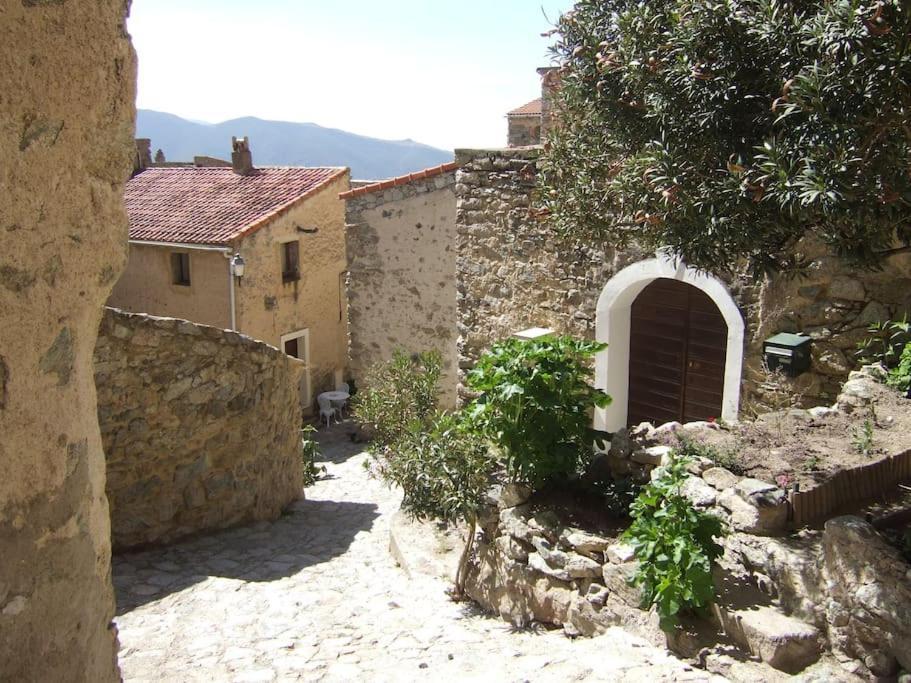 Vos Vacances A Lama France Corse מראה חיצוני תמונה