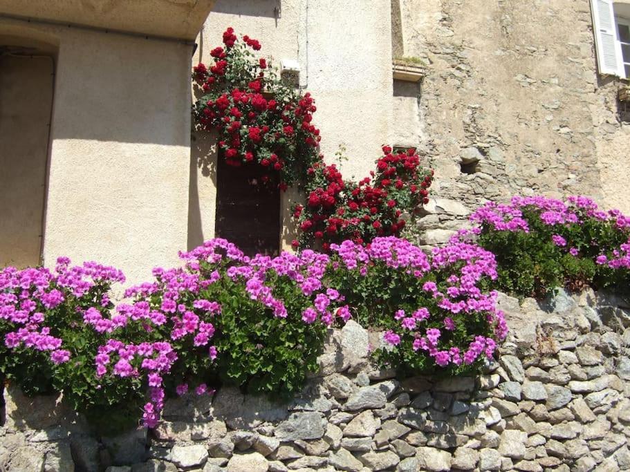 Vos Vacances A Lama France Corse מראה חיצוני תמונה