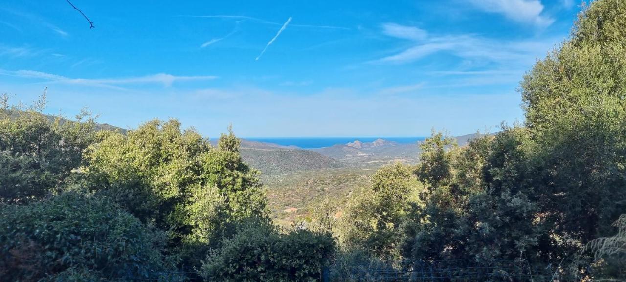 Vos Vacances A Lama France Corse מראה חיצוני תמונה